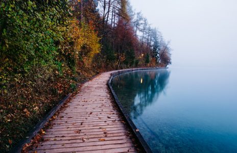 Boardwalk Jigsaw Puzzle