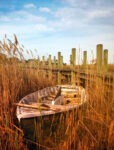 Boat in the Marsh