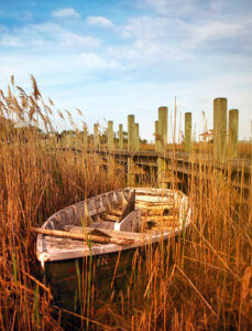 Boat in the Marsh Jigsaw Puzzle