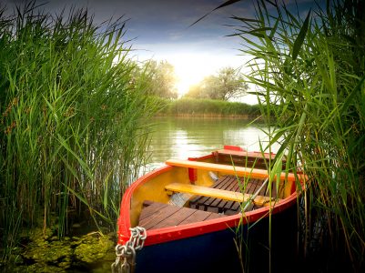 Boat in the Reeds Jigsaw Puzzle