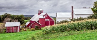 Bogie Mountain Farm