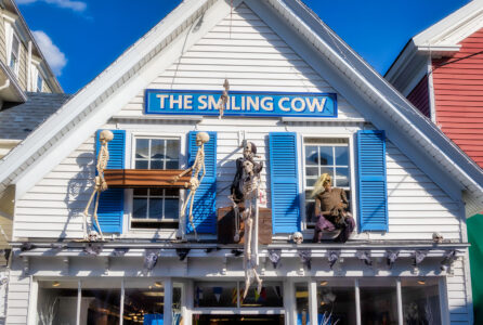 Boothbay Gift Shop Jigsaw Puzzle