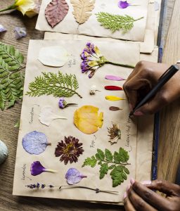 Botanical Notebook Jigsaw Puzzle