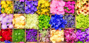 Box of Blooms