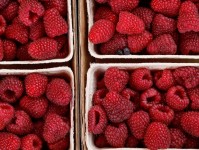 Boxed Raspberries