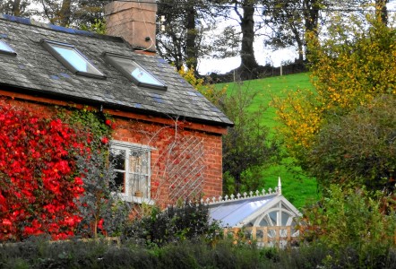 Brick House Jigsaw Puzzle