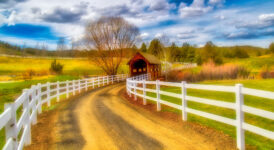 Bridge and Fencing