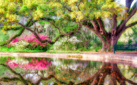 Brookgreen Gardens Jigsaw Puzzle