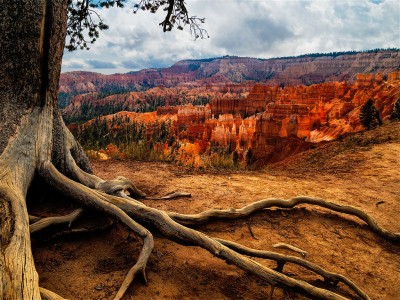 Bryce Canyon Jigsaw Puzzle