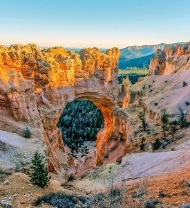 Bryce Canyon Arch Jigsaw Puzzle