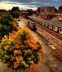 Buckingham Branch Jigsaw Puzzle