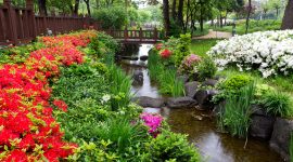 Buddhist Garden