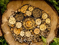 Bug Hotel