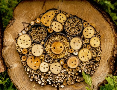 Bug Hotel Jigsaw Puzzle