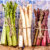 Bunches of Asparagus Jigsaw Puzzle
