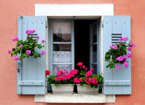 Burgundy Window