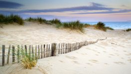 Buried Fence