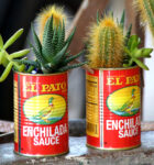 Cactus Tins