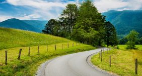 Cades Cove Road