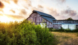 California Barn