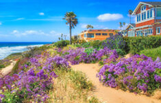 California Coastal Path Jigsaw Puzzle