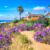California Coastal Path Jigsaw Puzzle