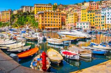 Camogli Harbor