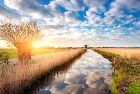 Canal Reflection Jigsaw Puzzle