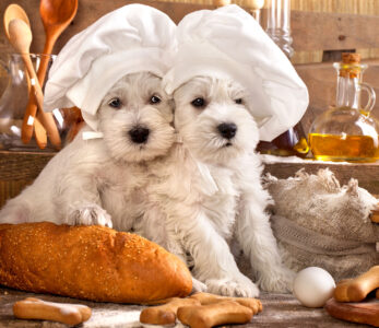 Canine Chefs Jigsaw Puzzle