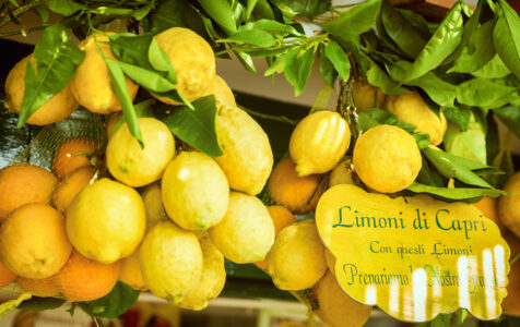 Capri Lemons Jigsaw Puzzle