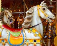 Carousel Horse