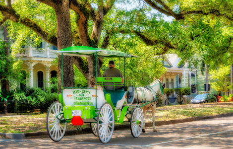 Carriage Ride Jigsaw Puzzle