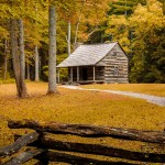 Carter Shields Cabin