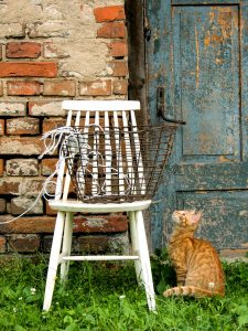 Cat and Basket Jigsaw Puzzle