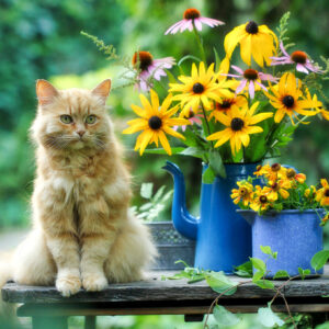 Cat and Flowers Jigsaw Puzzle