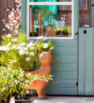 Cat and Potting Shed