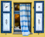 Cat at Window Jigsaw Puzzle