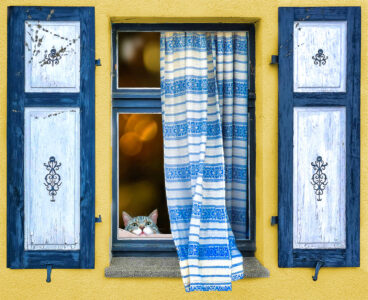Cat at Window Jigsaw Puzzle