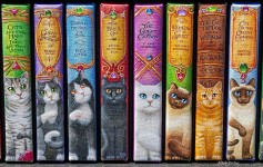 Cat Books