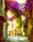 Cat in Provence Jigsaw Puzzle