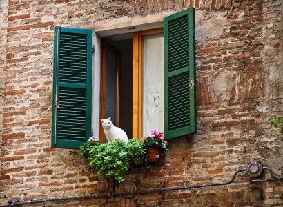 Cat in the Window Jigsaw Puzzle