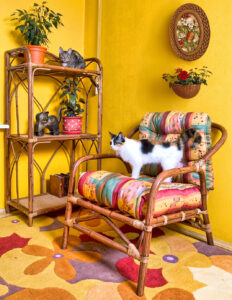 Cats at Home Jigsaw Puzzle