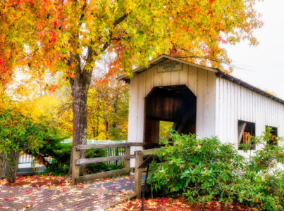 Centennial Bridge Jigsaw Puzzle