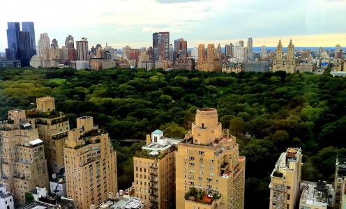 Central Park Jigsaw Puzzle