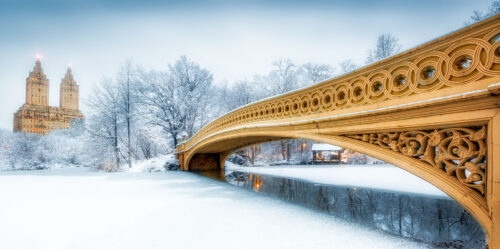 Central Park Bridge Jigsaw Puzzle