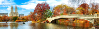 Central Park in Autumn