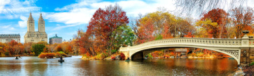 Central Park in Autumn Jigsaw Puzzle