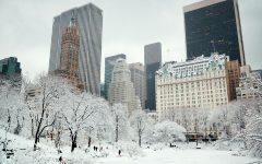 Central Park in Snow