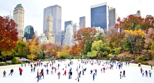 Central Park Skaters Jigsaw Puzzle