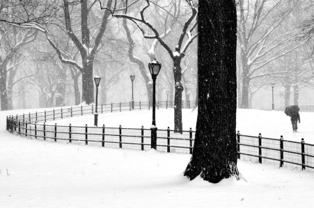 Central Park Snow Jigsaw Puzzle